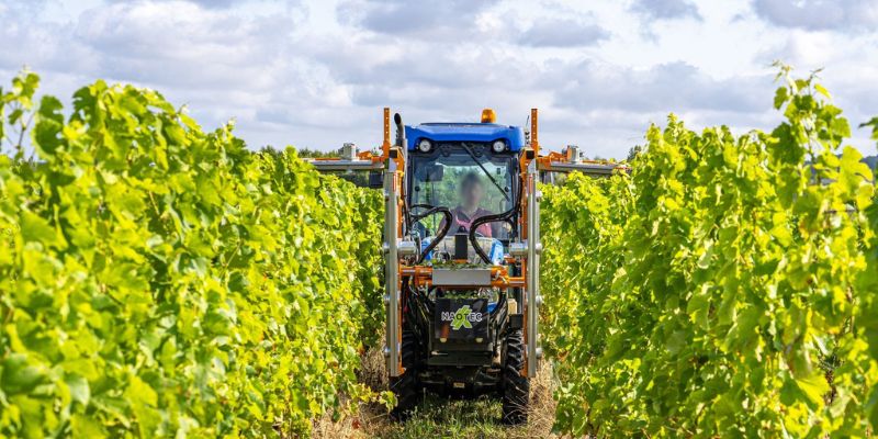 Démonstration d'une rogneuse hydraulique sur tracteur interligne dans un champ de vignes.
