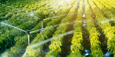 matériel et équipements d'irrigation
