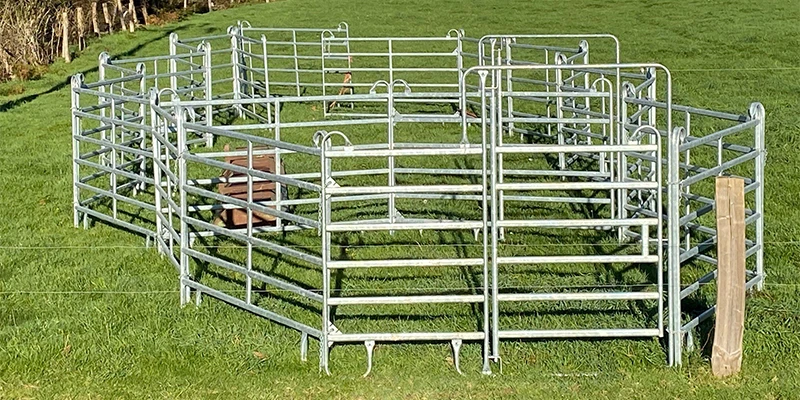 Enclos tubulaire pour veaux et bovins, équipements d'élevage.